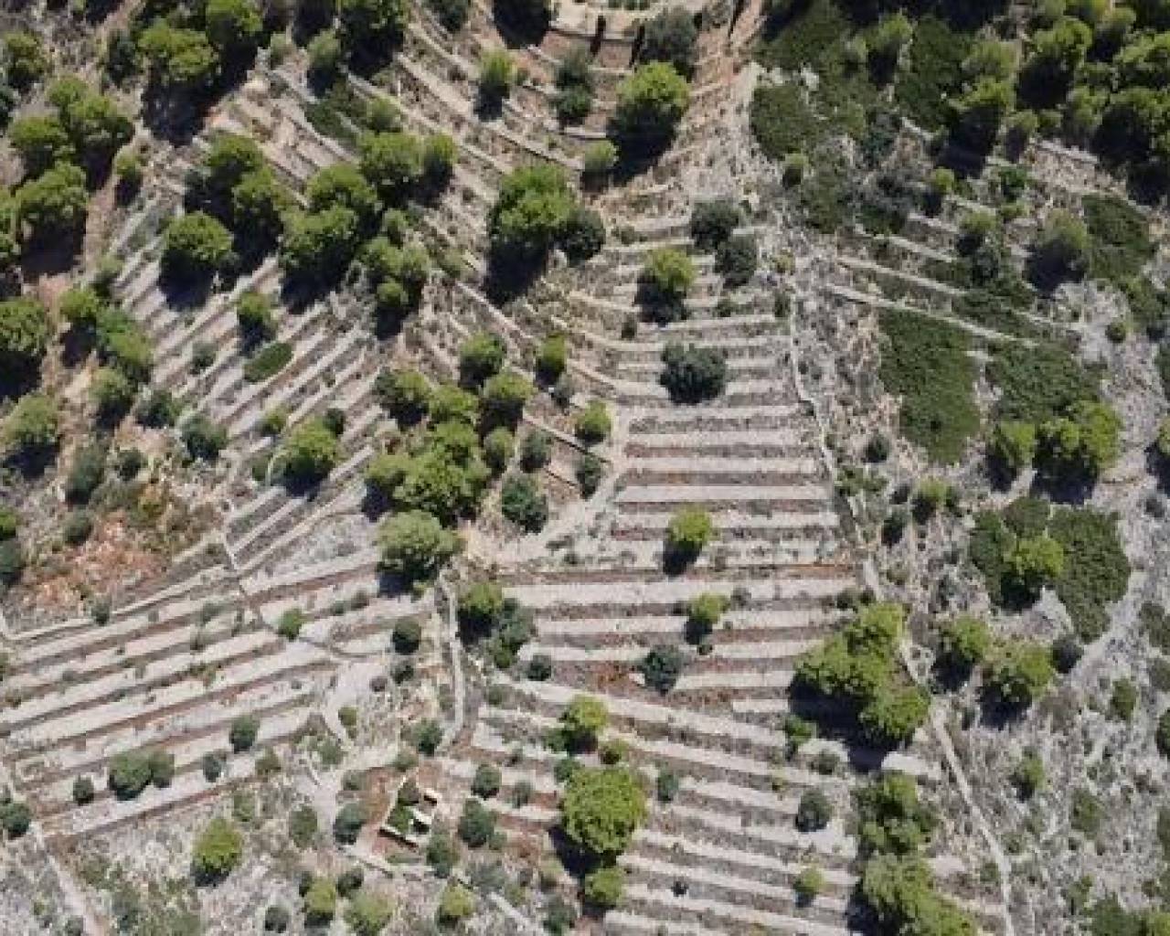 Parcela/Terreno · Venta · Benissa · M--95187