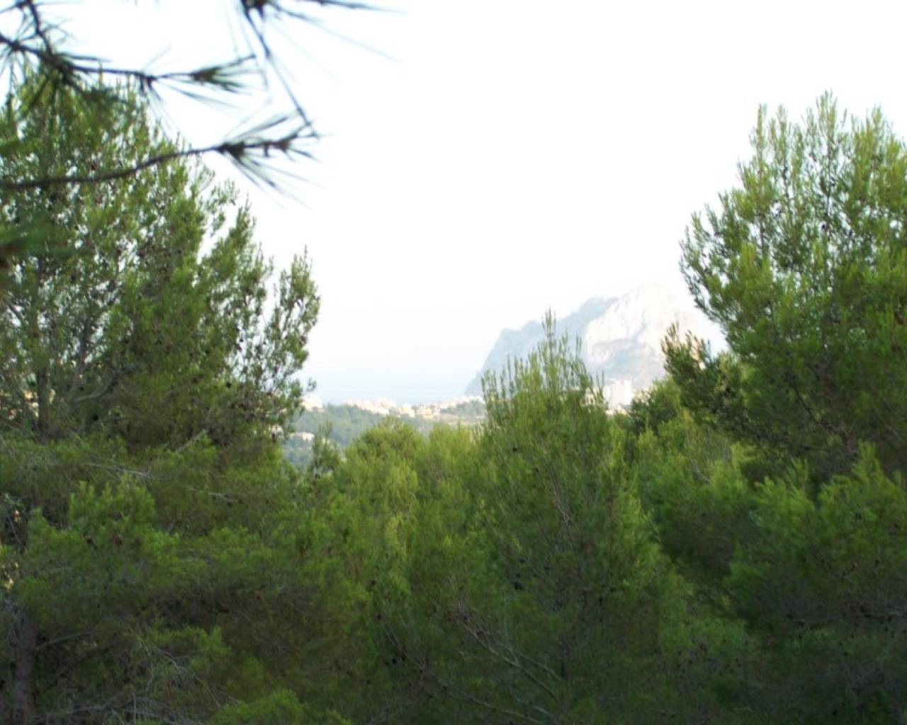 Plot · Resale · Benissa · M--18975