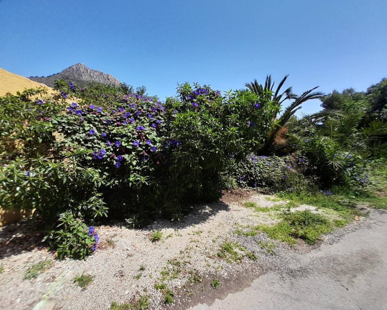 Plot - Resale - Calpe - Calpe