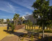 Resale - Apartment - Orihuela - Zona Centro