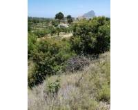 Resale - Urban building plot - Calpe