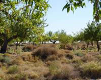 Venta - Chalet - San Miguel de Salinas - Pueblo