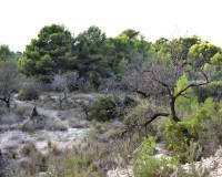 Venta - Country land - Calpe