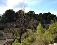 Venta - Country land - Calpe