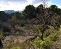 Venta - Country land - Calpe