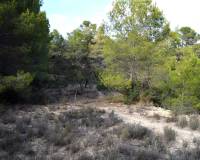 Venta - Country land - Calpe
